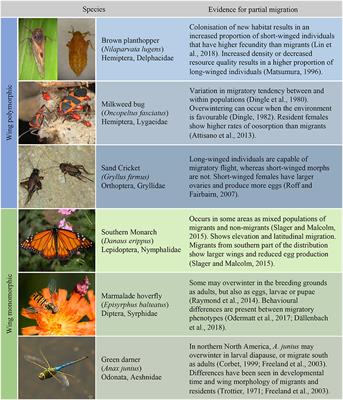 Mechanisms and Consequences of Partial Migration in Insects